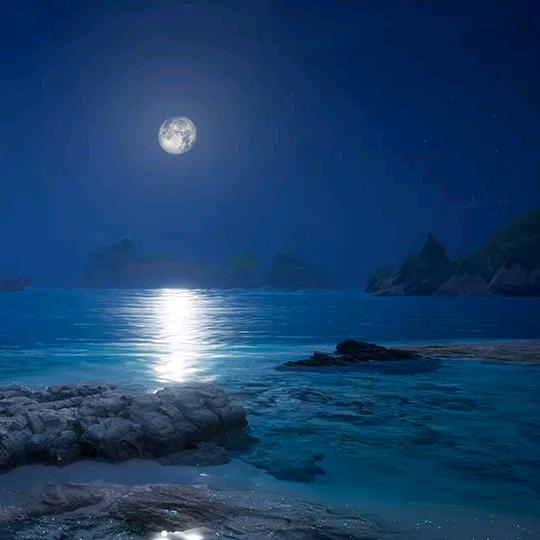忻夜