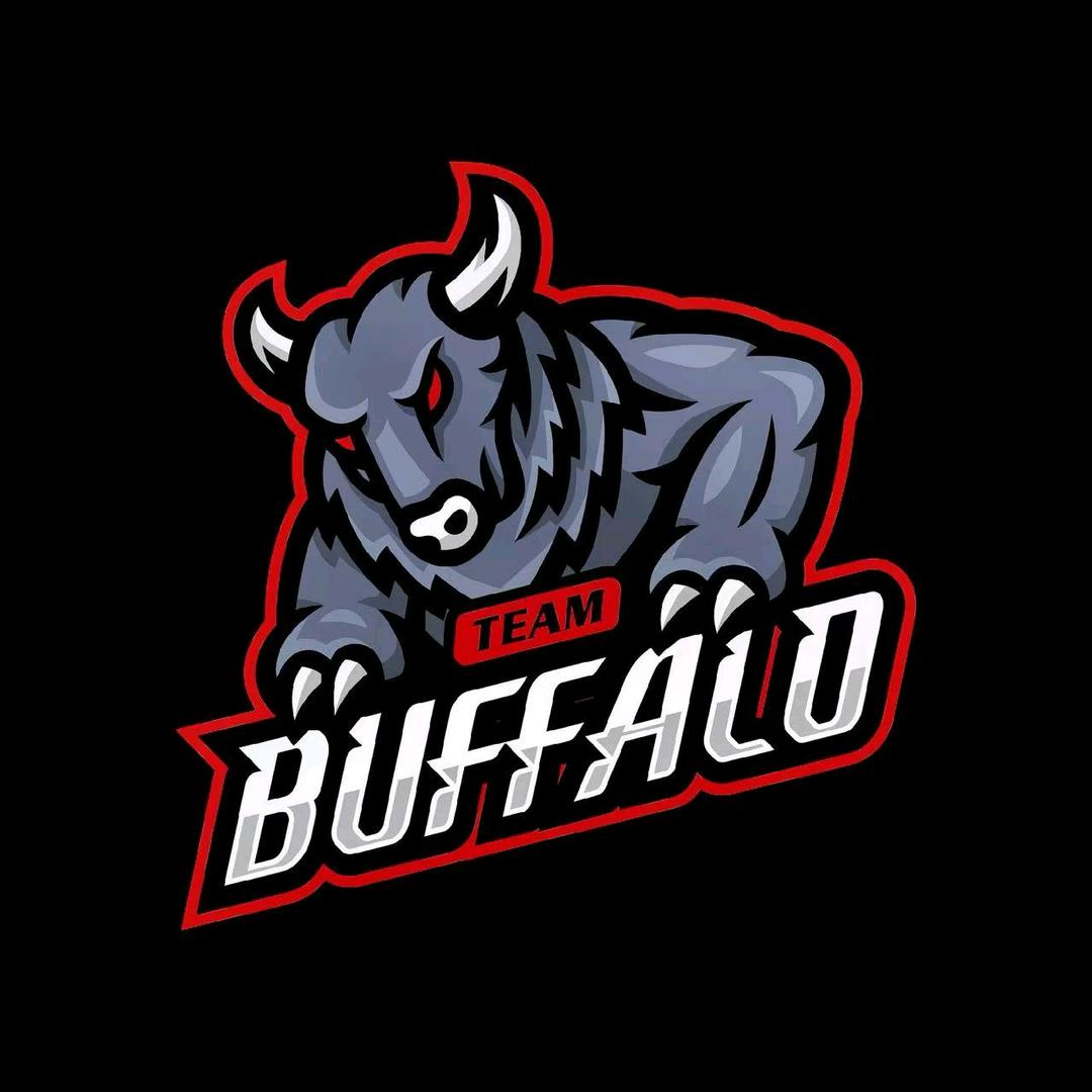 胖胖电竞(无畏契约)