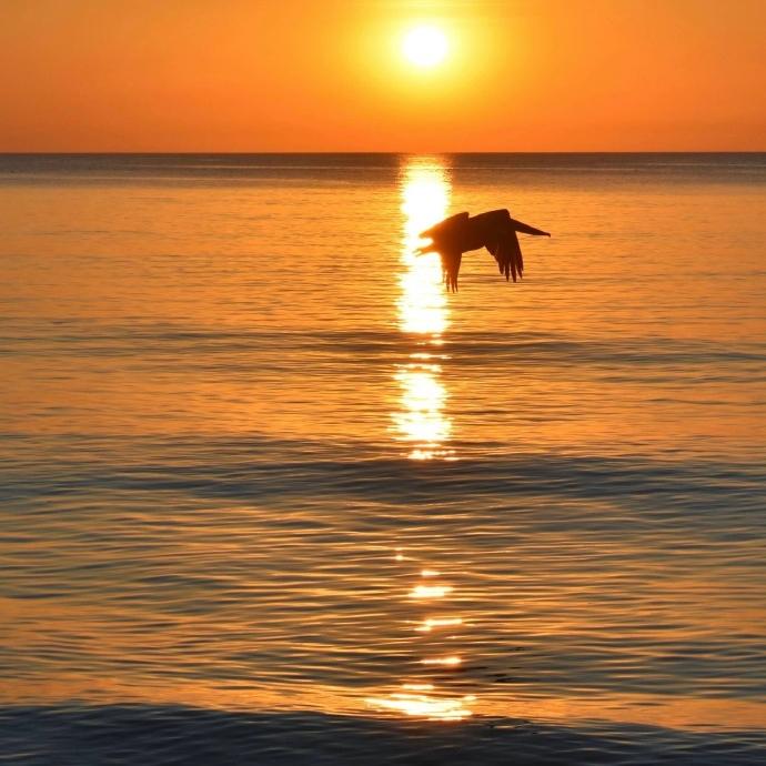 一个名字叫小鑫