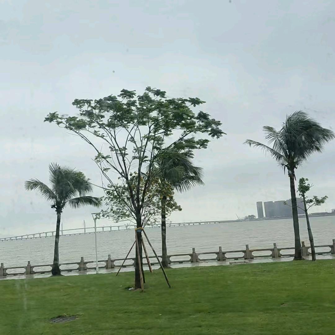 ٩(๛ ˘ ³˘)۶♥刺心