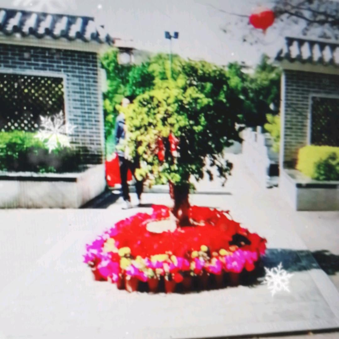 风声