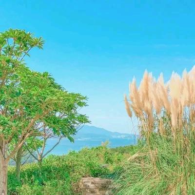 醒妹红