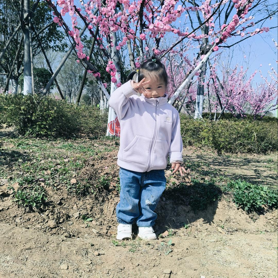 毛毛虫
