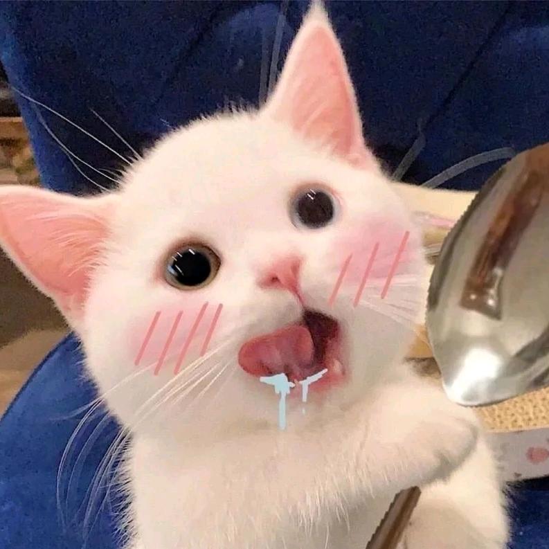 YZ头像