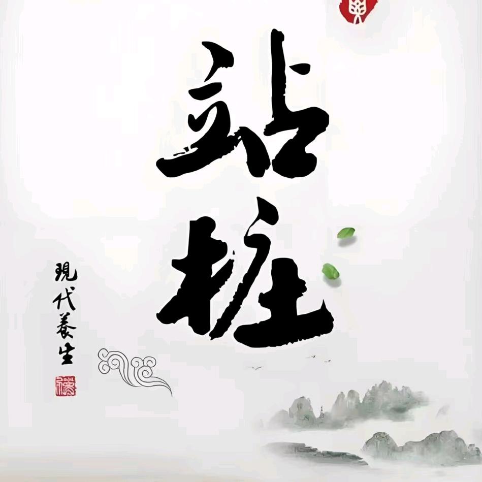 汇智师傅站桩小助手