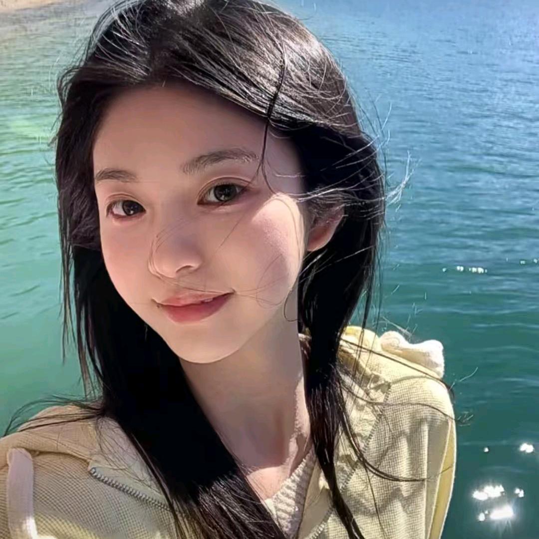 陆沉的狗砸.