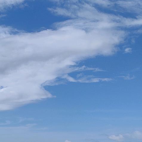 ╭(╯木╰)╮木