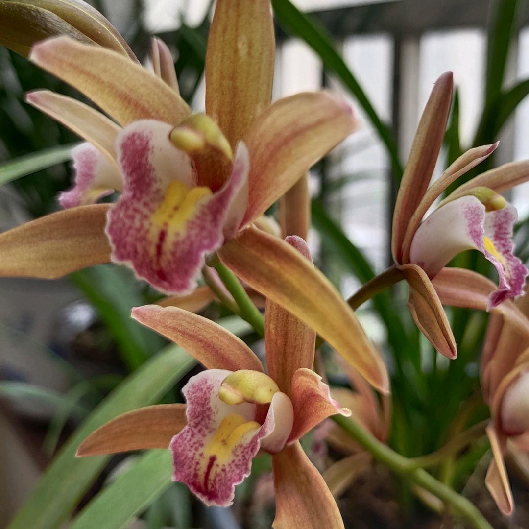 优选购物店（好物在商品橱窗）