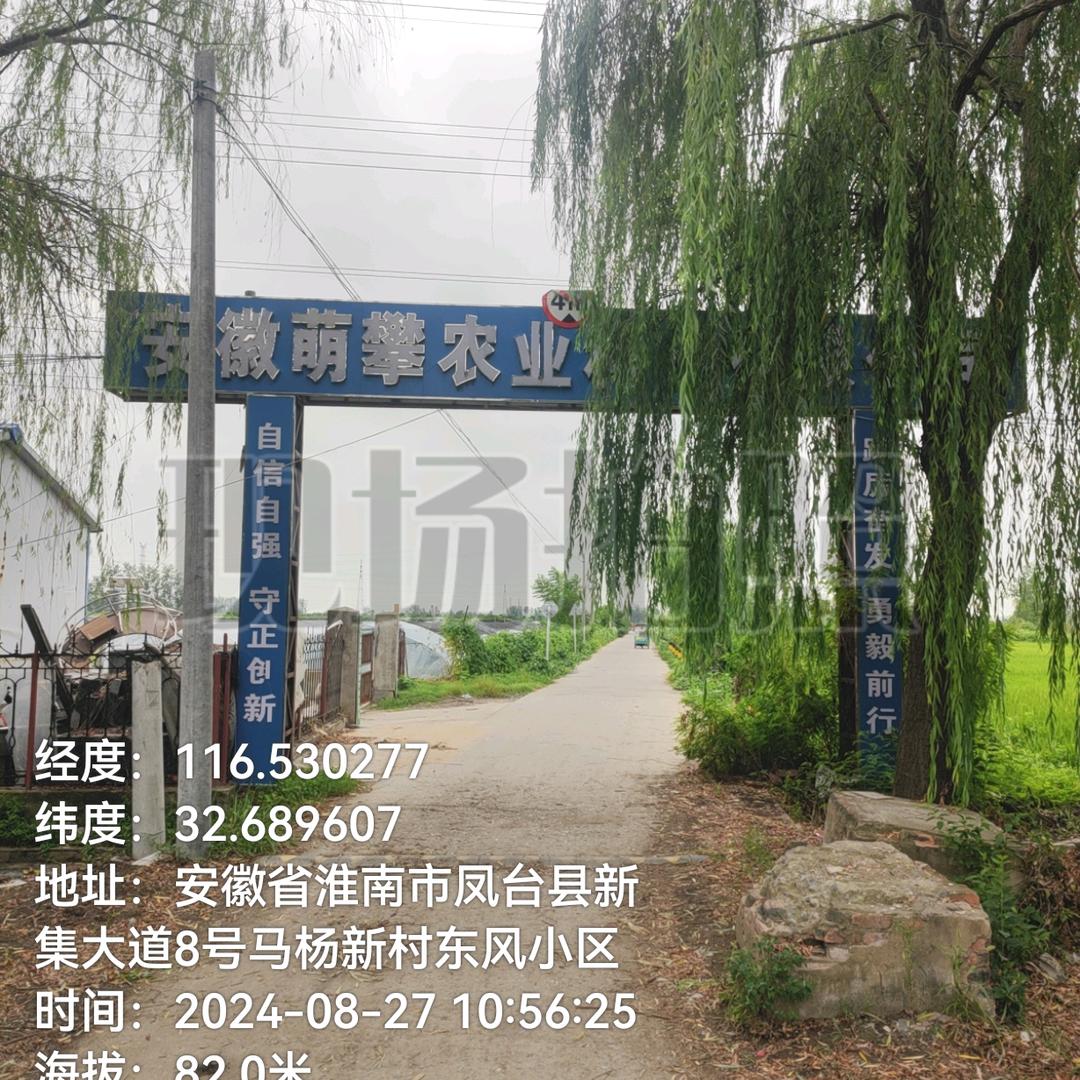 朱洪金