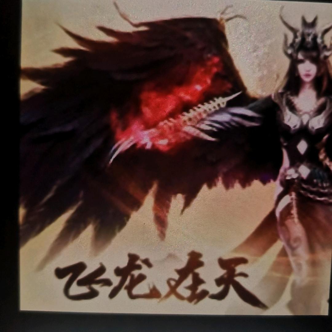 飛龍在天