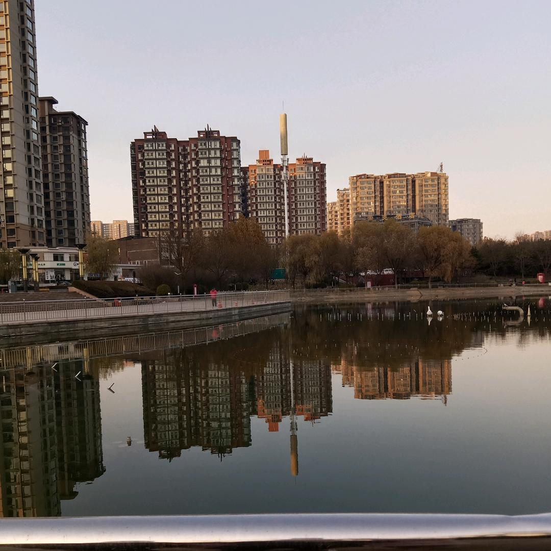 小诺