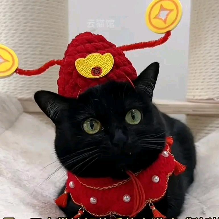 🐮🐯