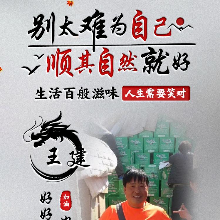 王建，信奥商贸有限公司