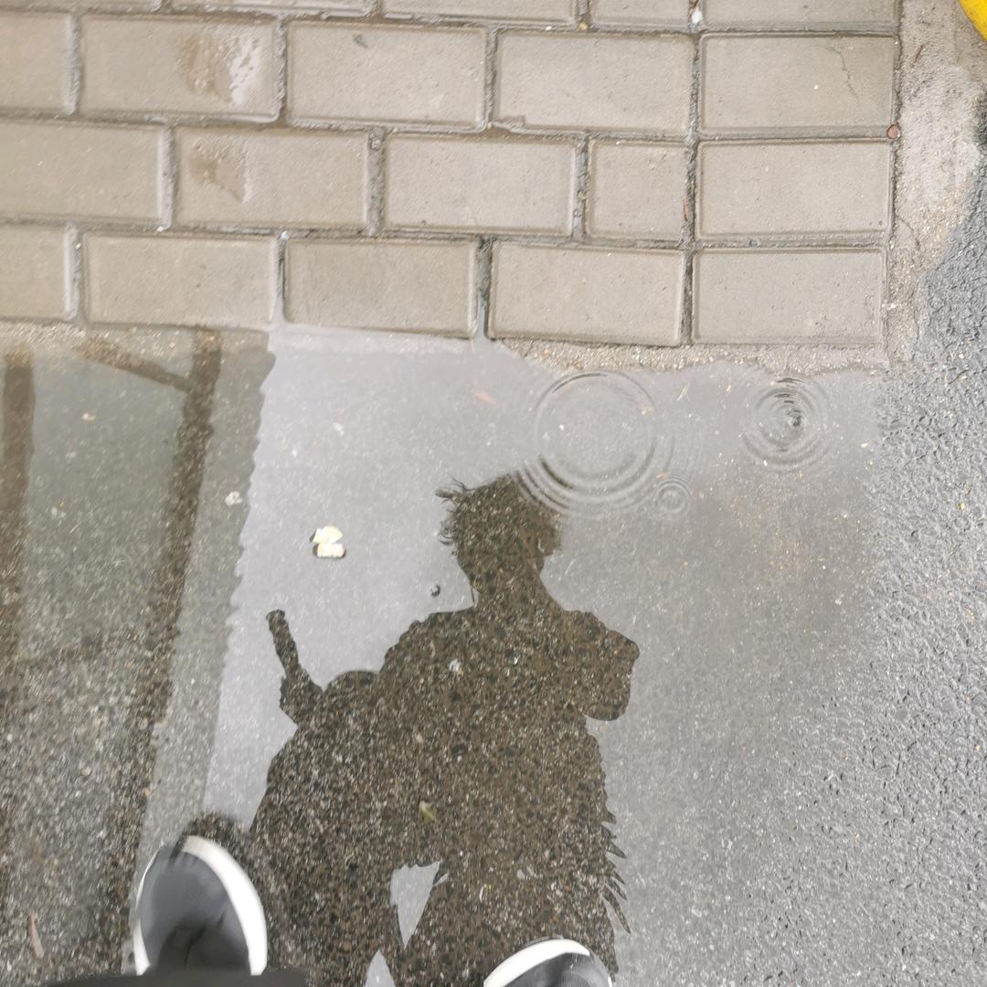 女人都是骗钱的