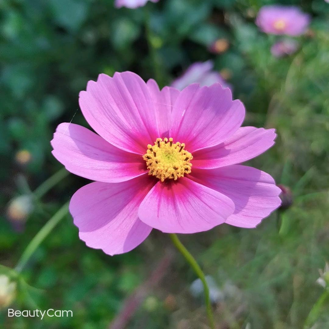 书夏-橱窗有好物