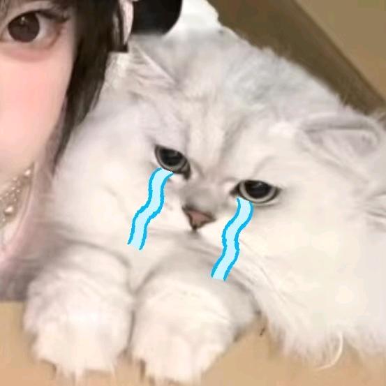 💰꧔ꦿ兜兜℘᭄ᩚ꯭