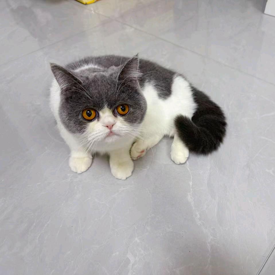 浅语喜物（关注食品安全）