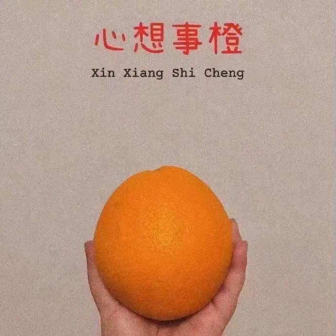 云上物流