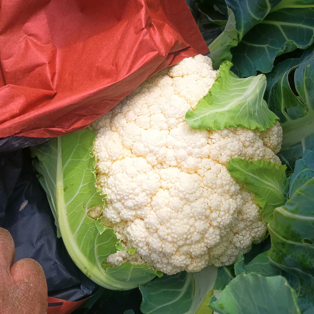 曲靖龙记养殖场