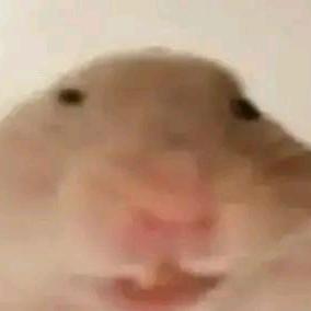 爱玩泥巴的大粪