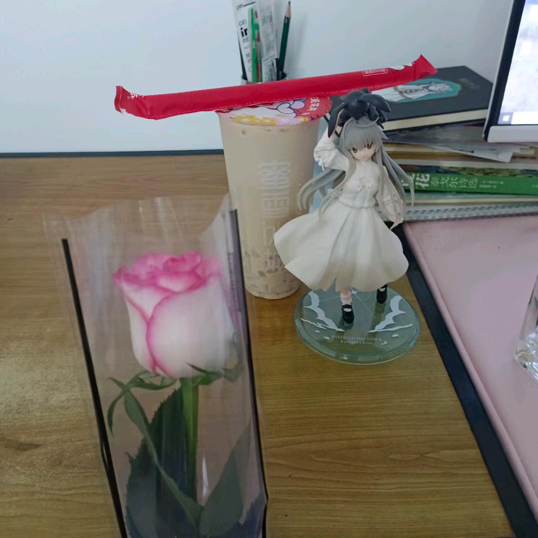 皇家一号小龙