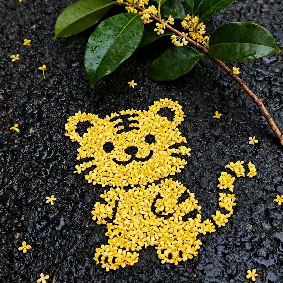 @এº᭄ 自💞 渡༊ ړ࿐🎖