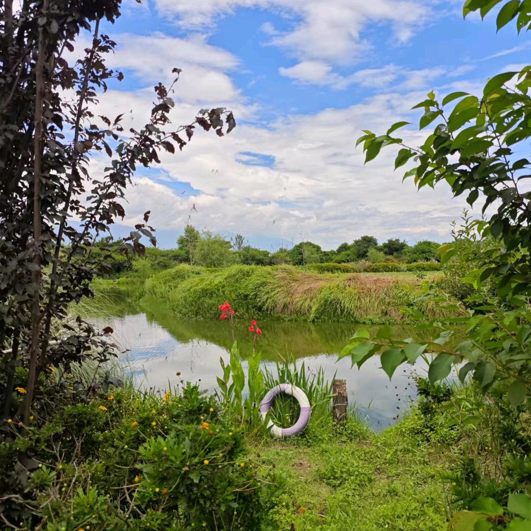 西宁市初高中物理化学老师