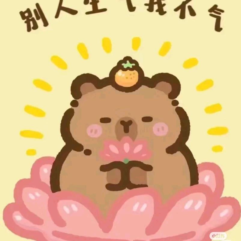 要吃八口饭团🍙