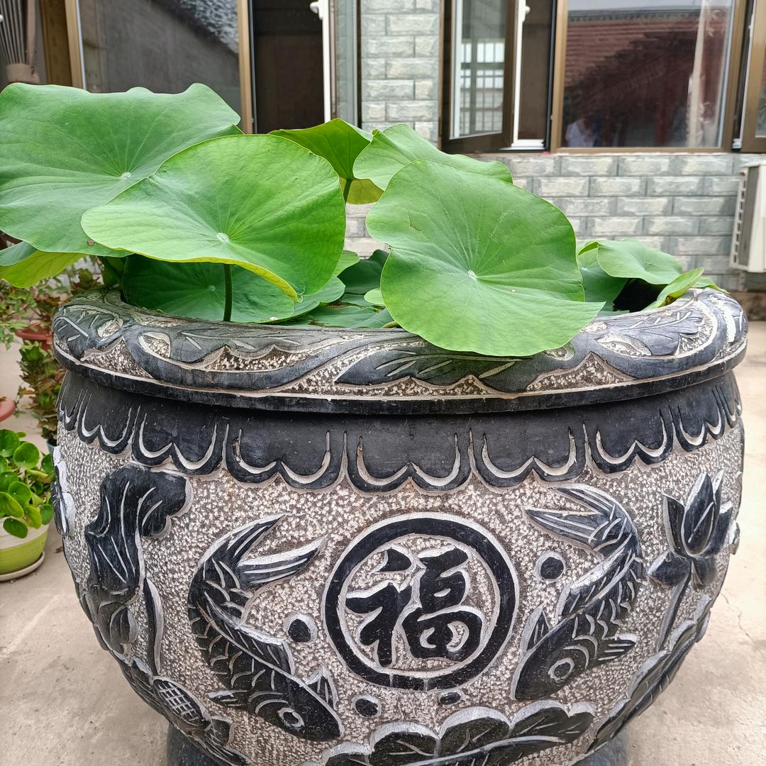 爱自己