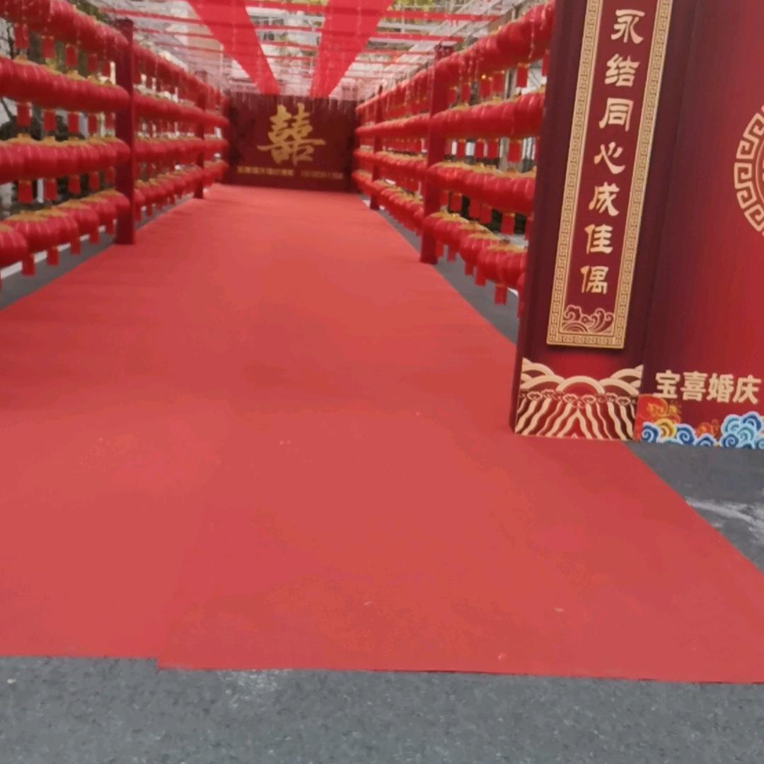 仙人掌