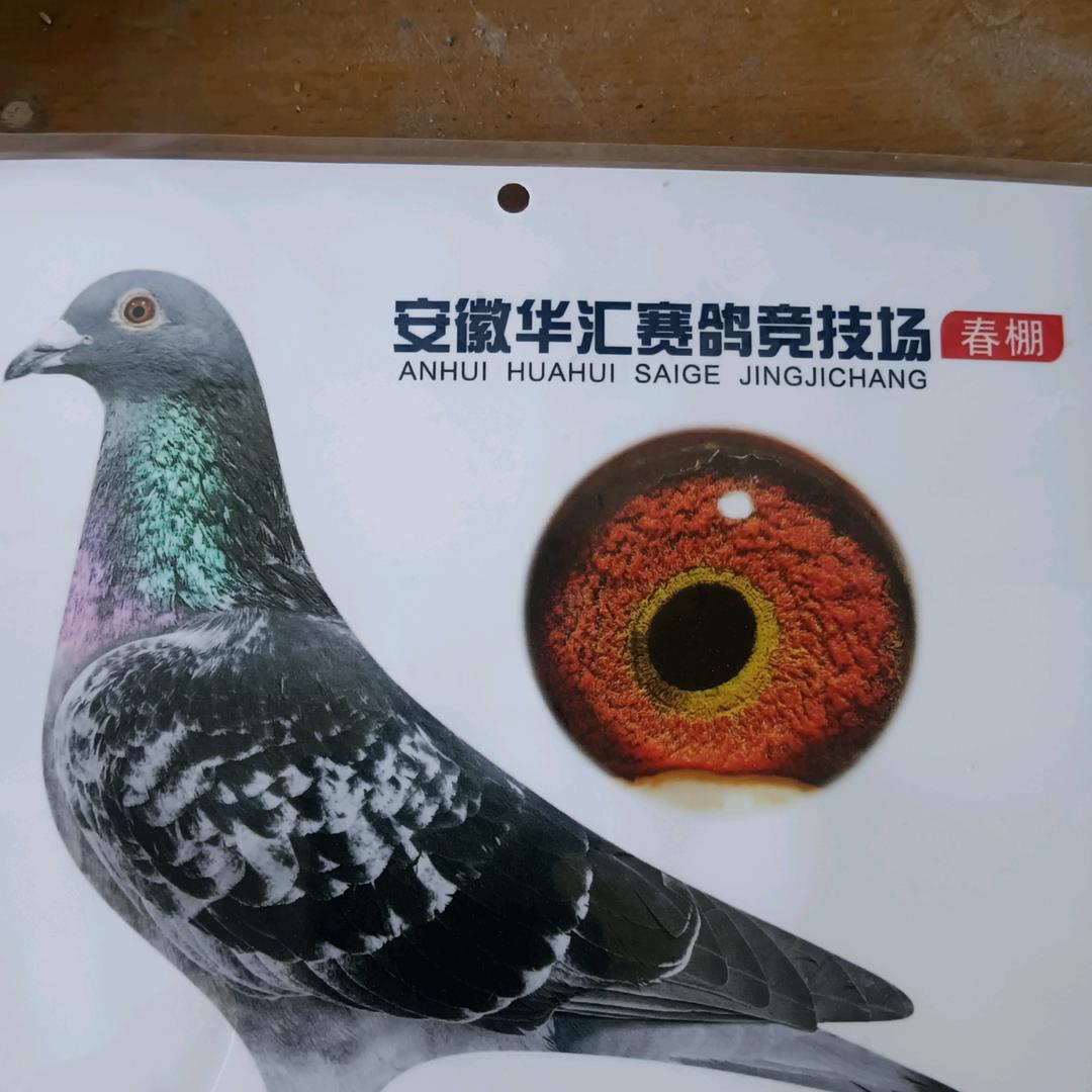 感，悟，人生