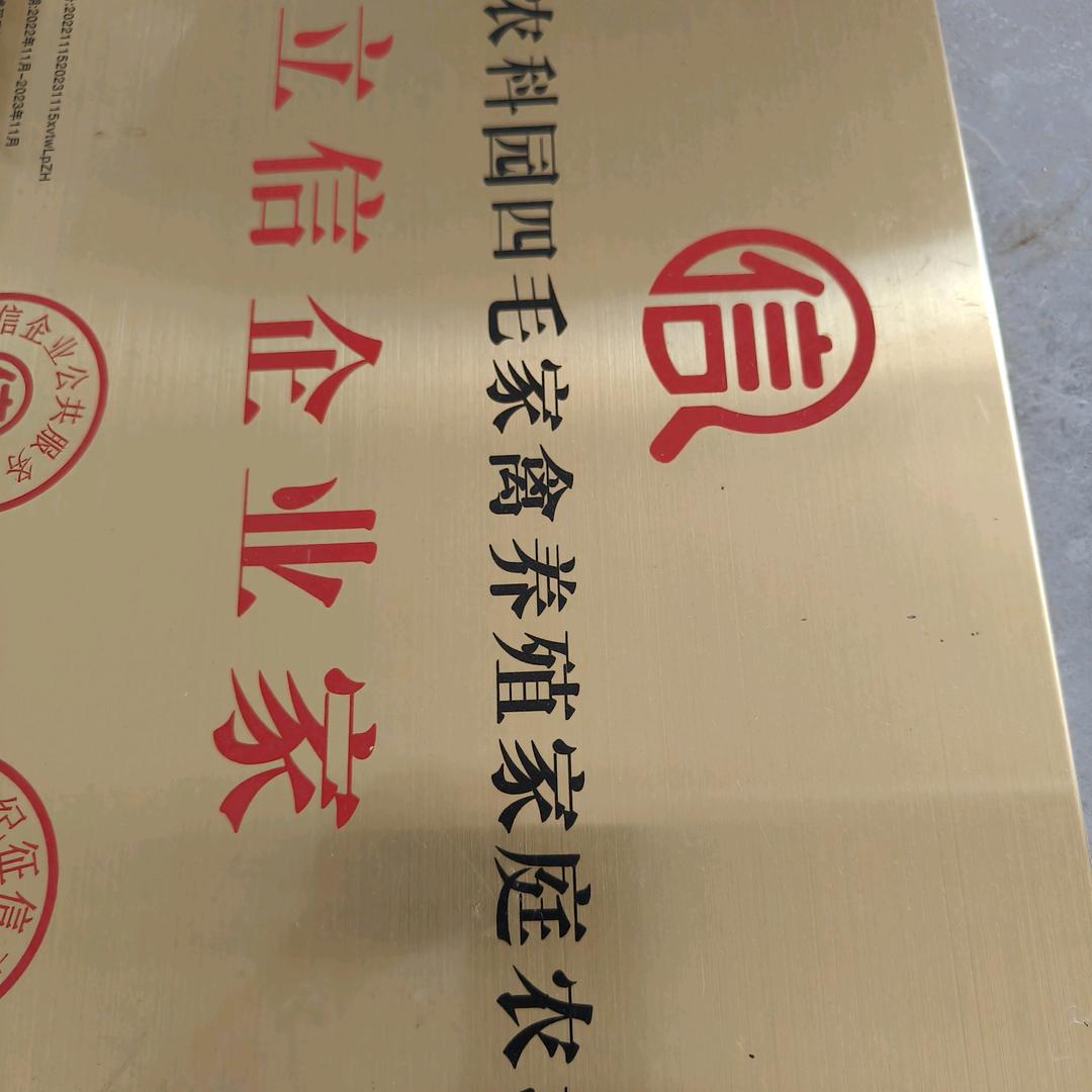 碧村四毛养殖场