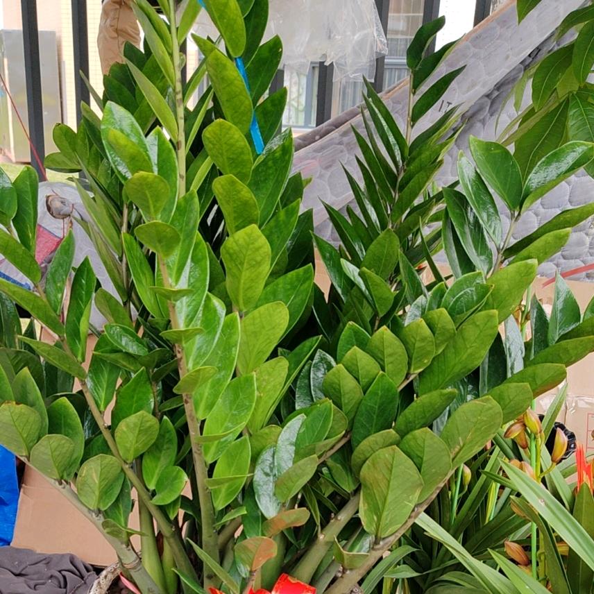 风儿user8309934411021