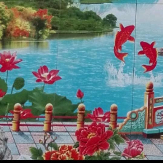 顺其自然wJx