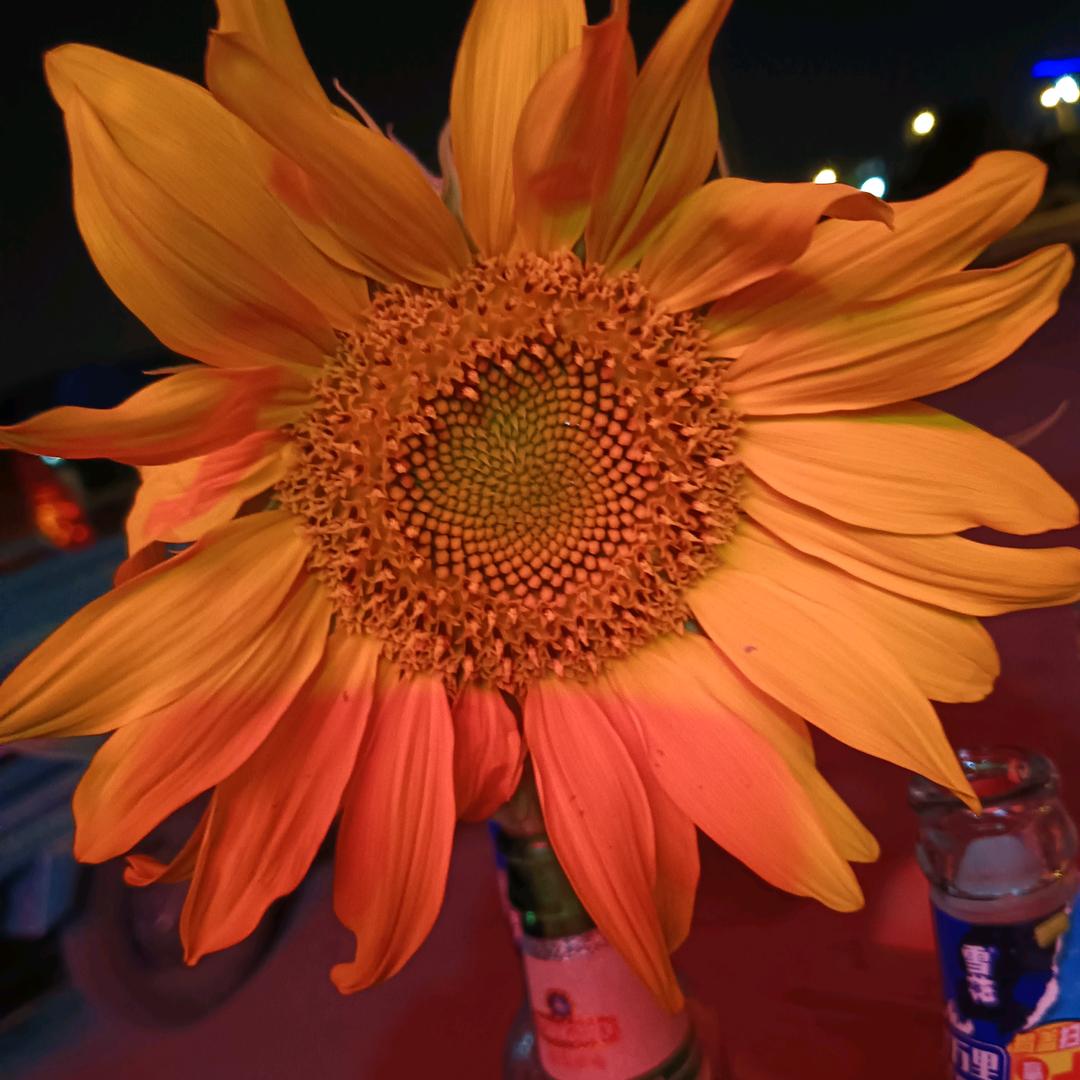 @懂得珍惜，才配拥有