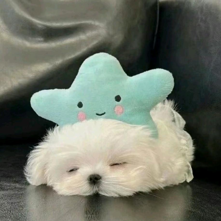 小小完美大大快乐