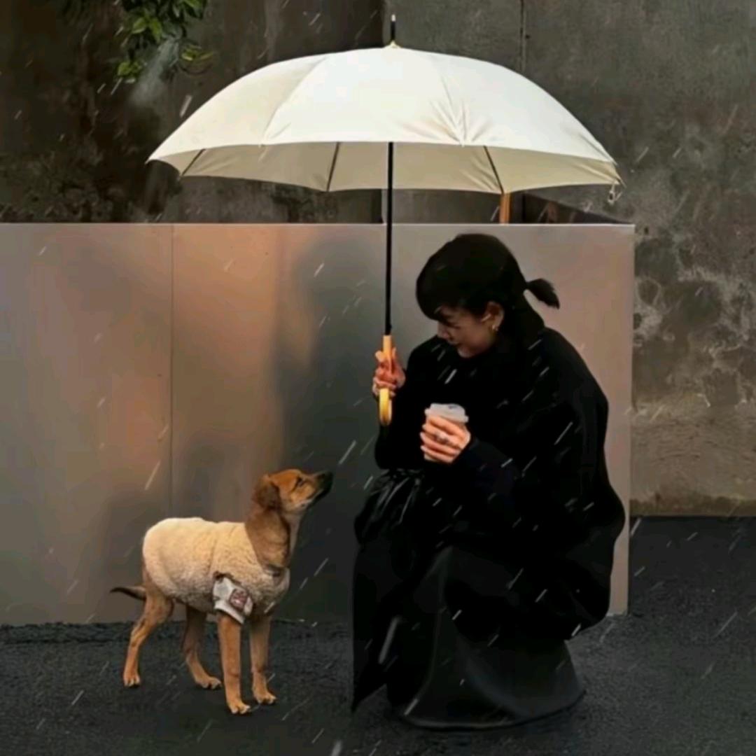 卢卢