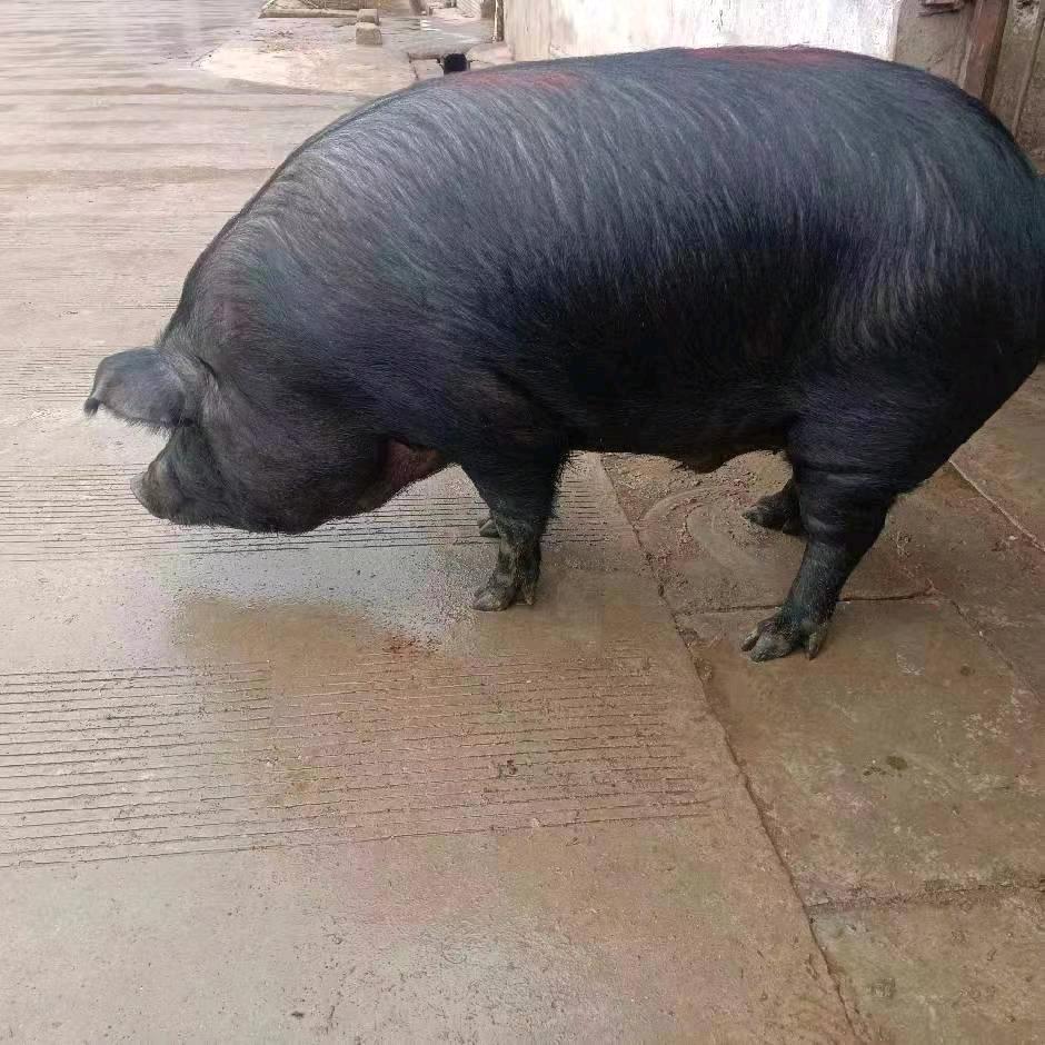 云南结巴哥农特产