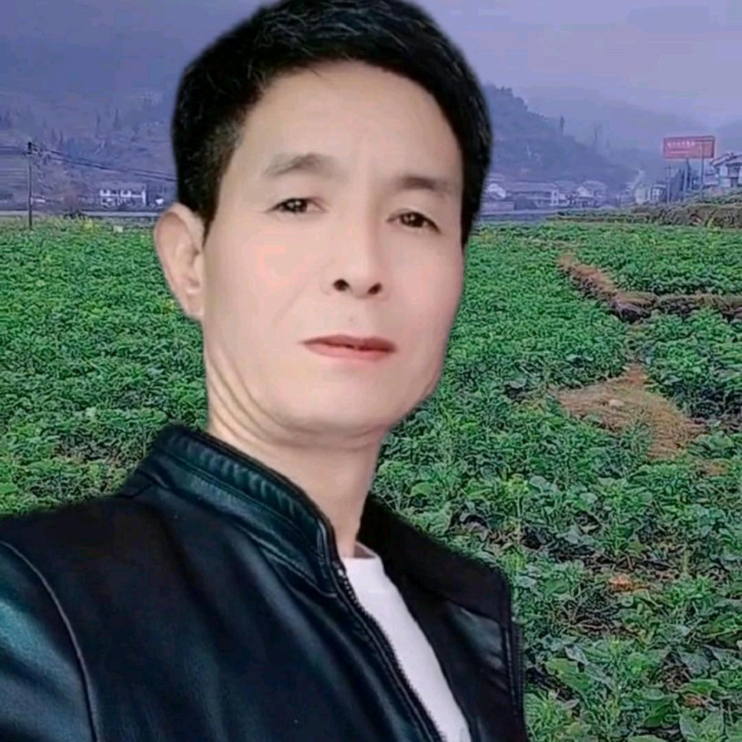 阳光总在风雨后