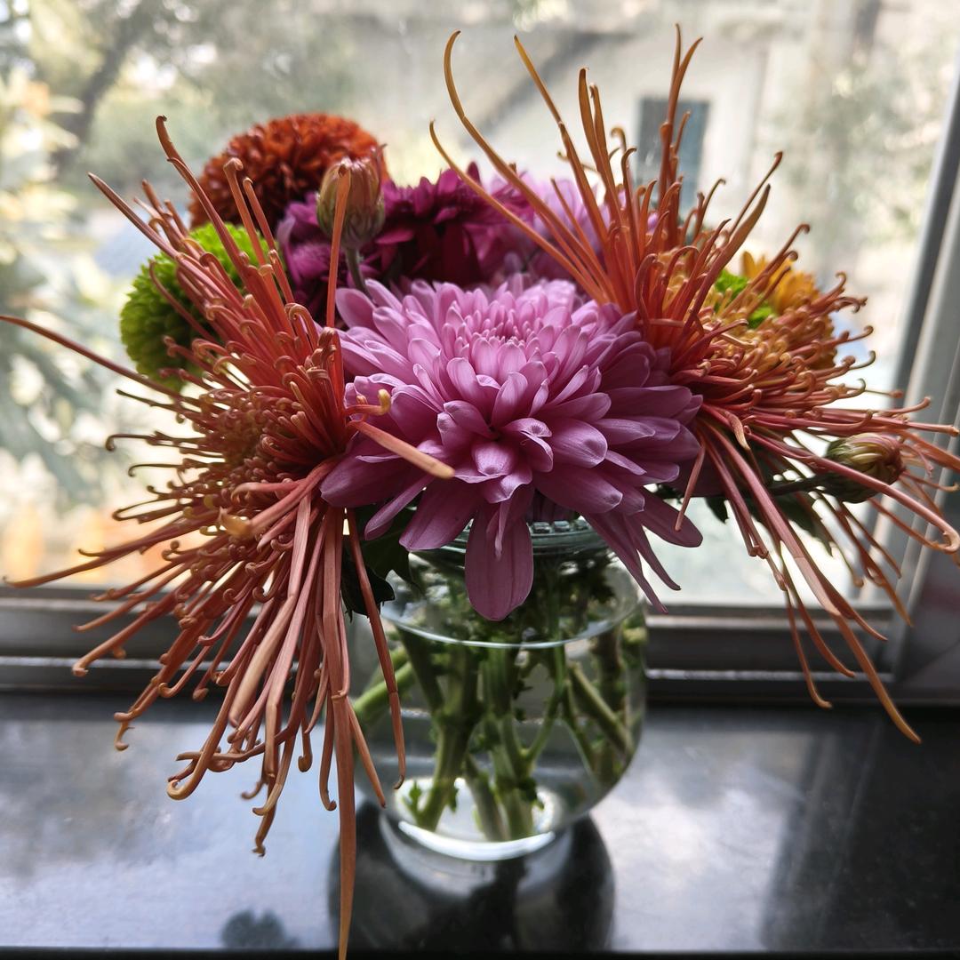 忘忧草🌿🍾+🍋+🌿+🍒=🍹