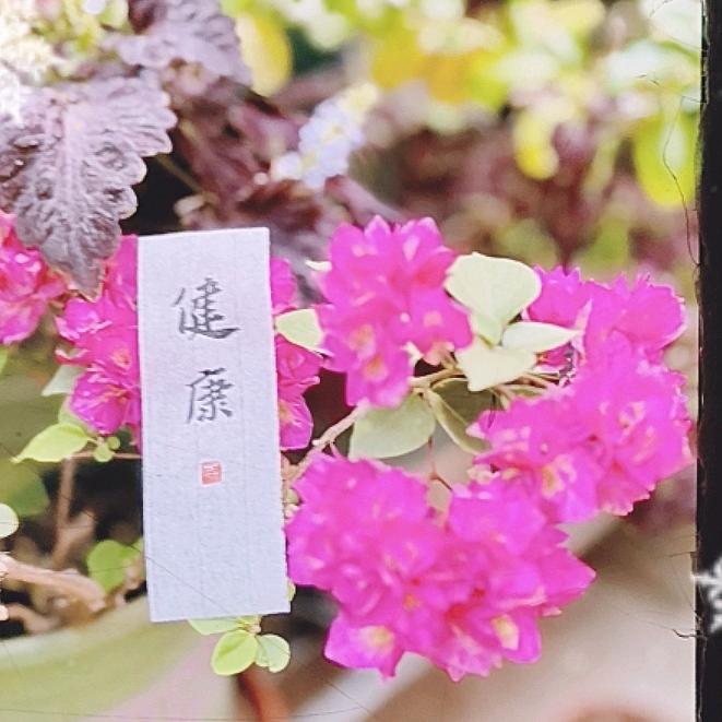 李老师养和康