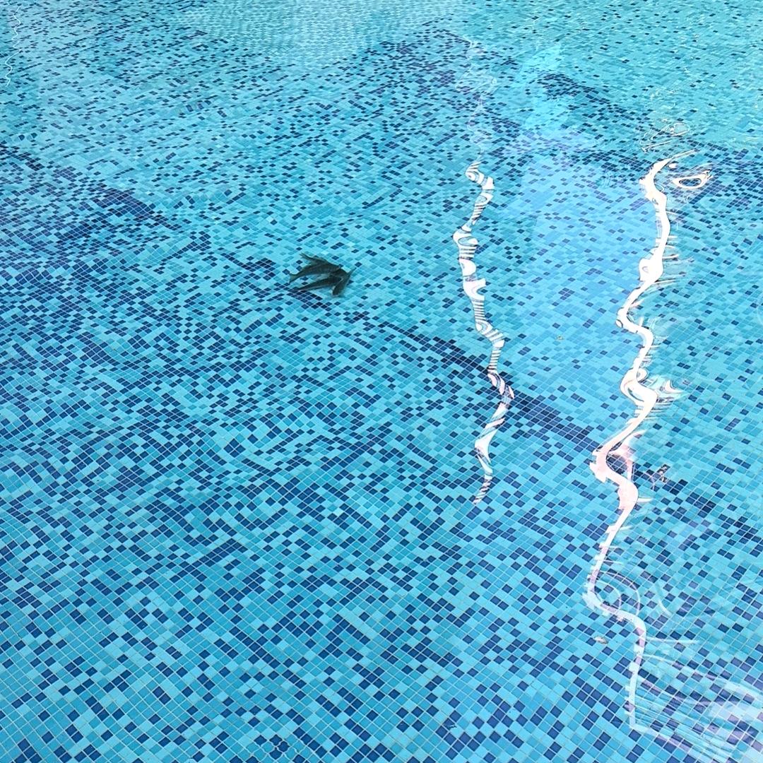 富闲暇