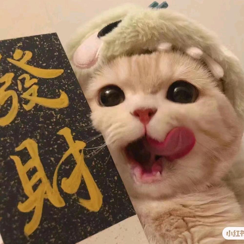 星宠宠物馆