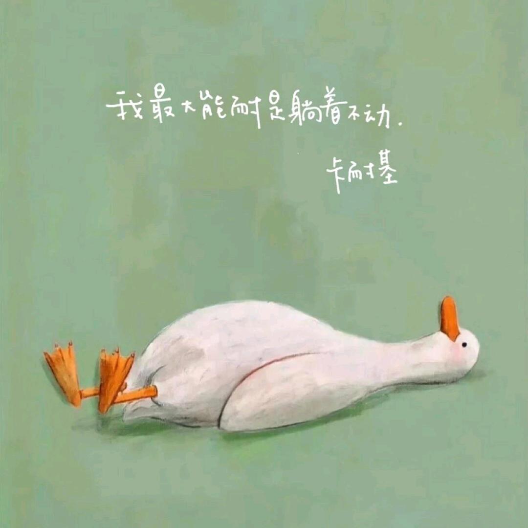 🌈半糖微醺࿐