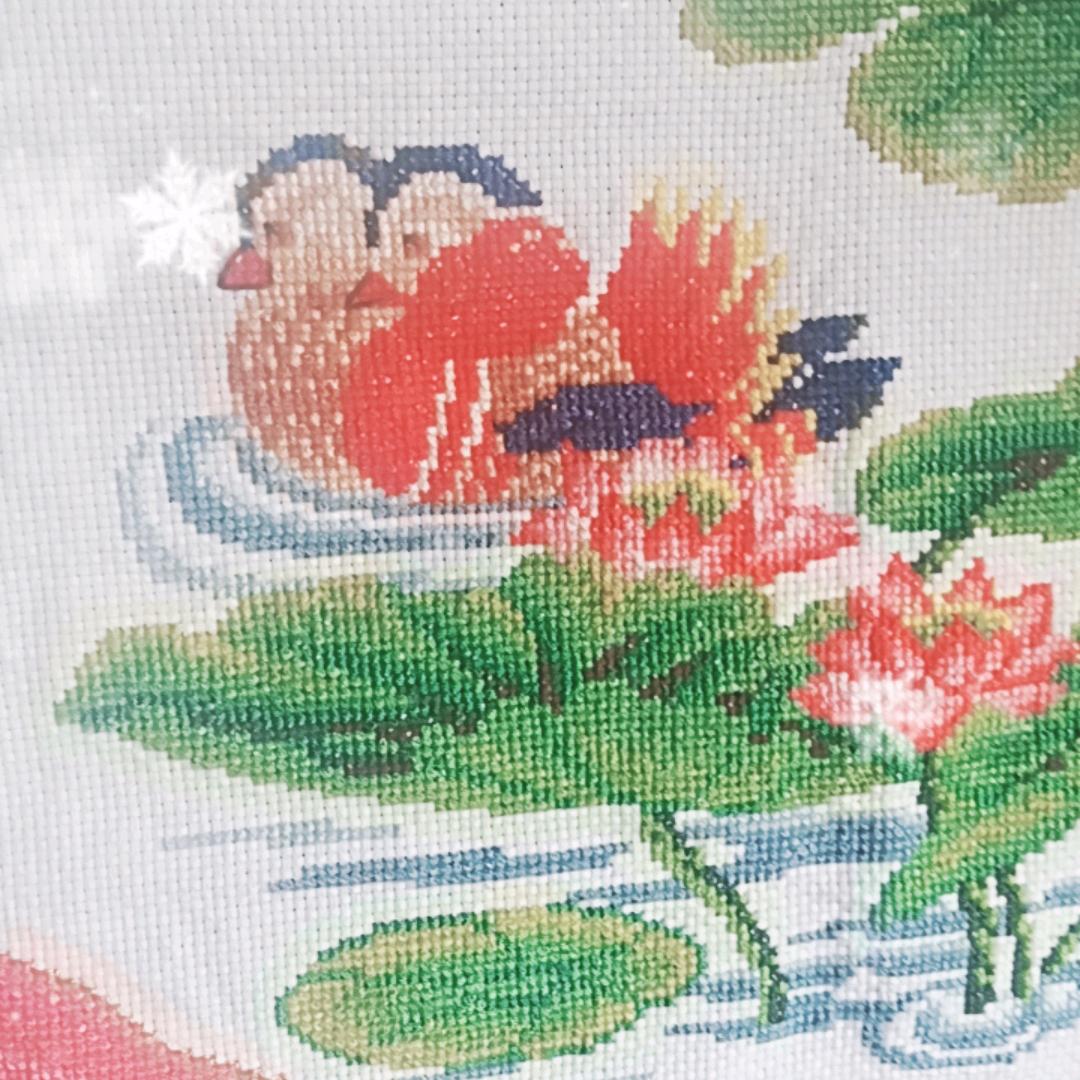 张哥