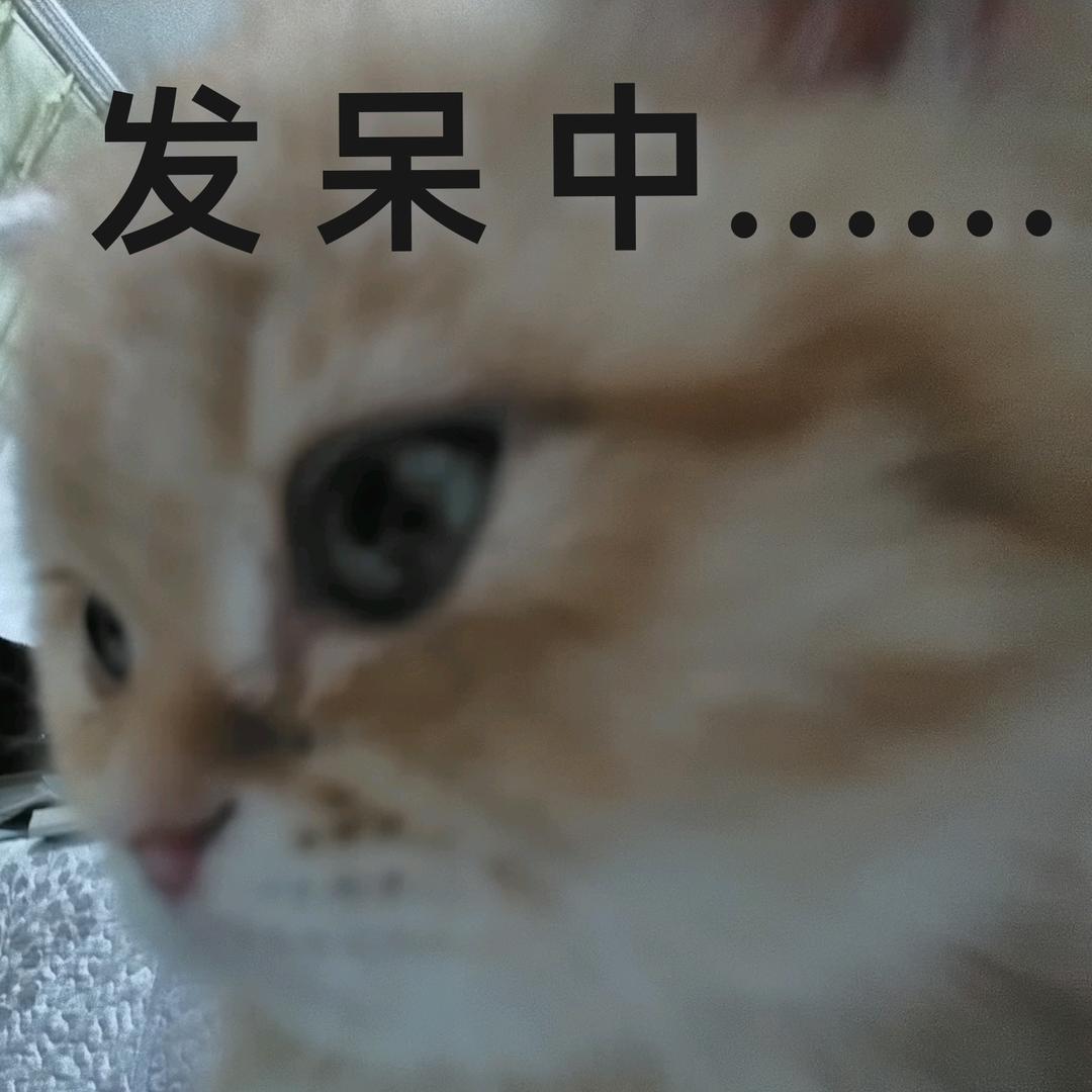 法拉利.乐婺