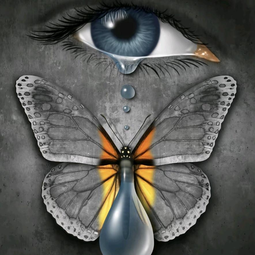 心缘42Z1灵云阁阁主