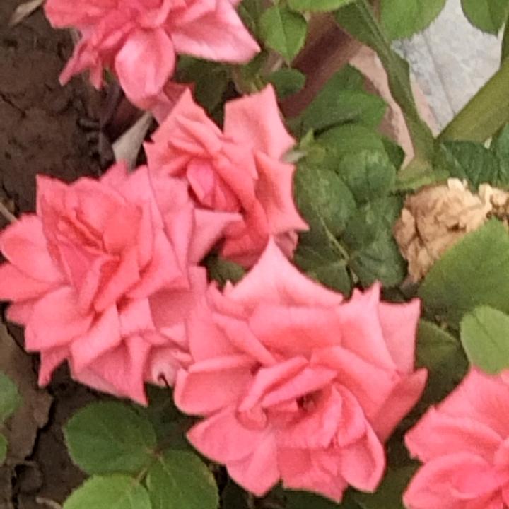 萍水相逢