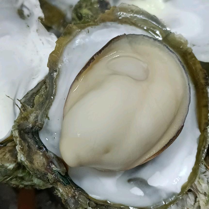 相逢是缘
