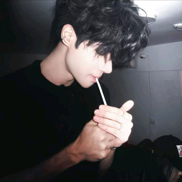 忘尘月
